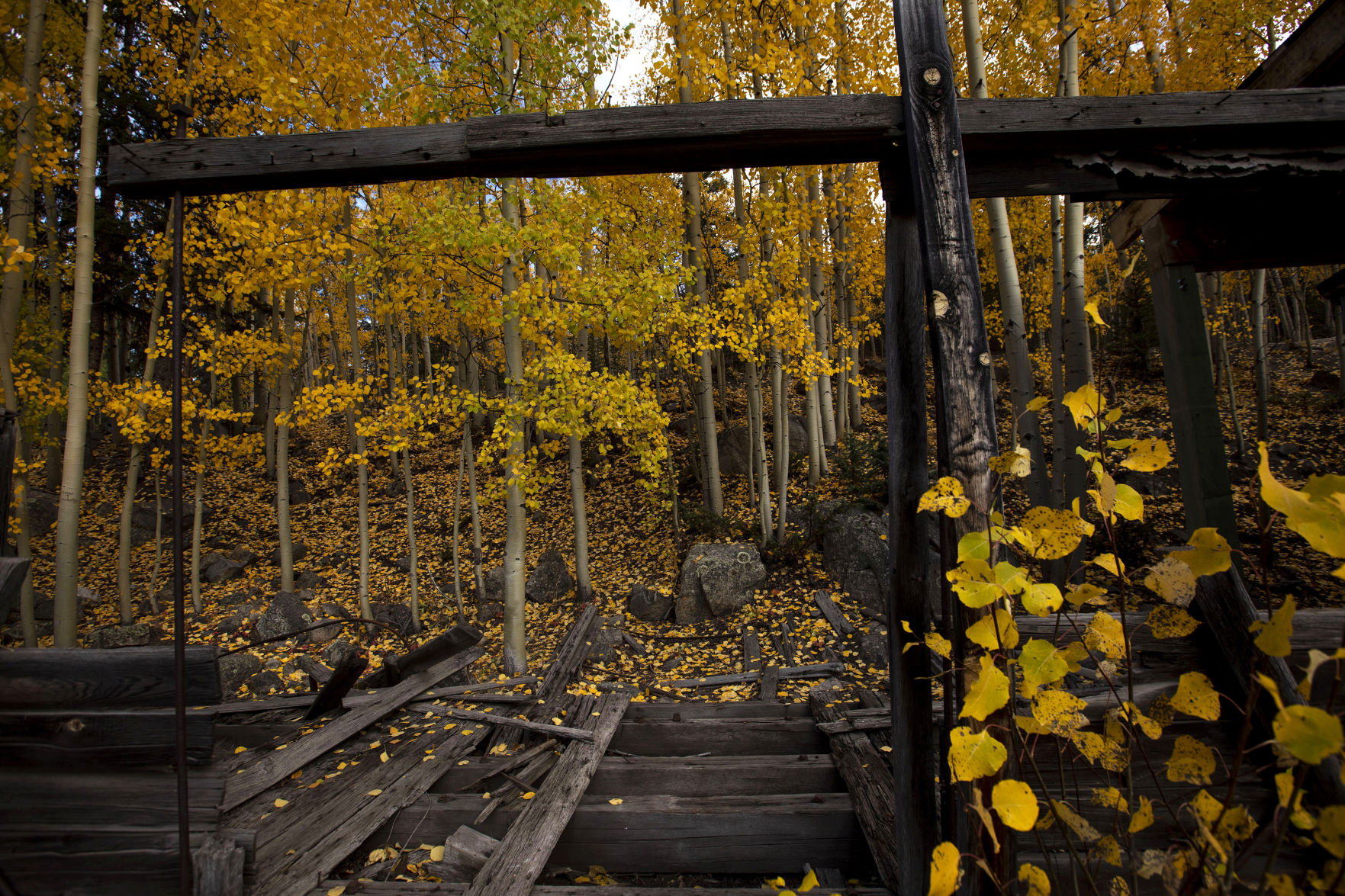 100219-news-fallcolors 30